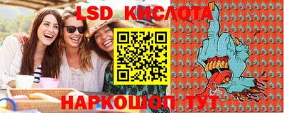 ешки Новодвинск