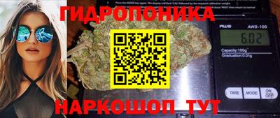 ешки Новодвинск