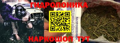 ешки Новодвинск
