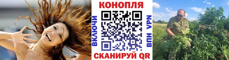 Каннабис сатива  продажа наркотиков  Одинцово 
